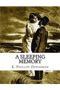 Sleeping Memory