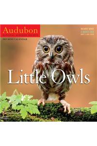 Audubon Little Owls Mini Wall Calendar 2019