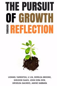 Pursuit of Growth Through Reflection
