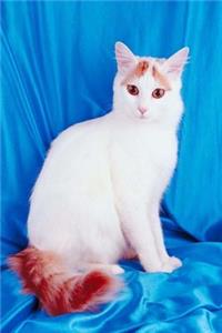 Pretty Kitty White Cat Photo Journal