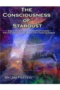 The Consciousness of Stardust