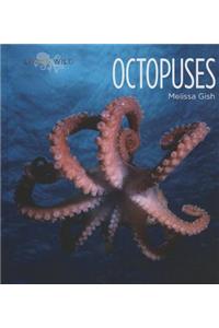 Octopuses