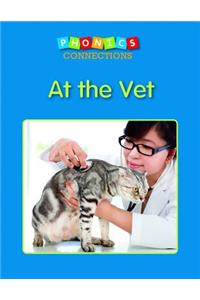 At the Vet