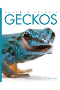 Amazing Animals: Geckos