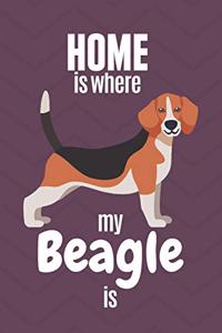Home is where my Beagle is