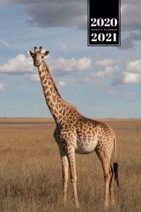 Giraffe Safari Week Planner Weekly Organizer Calendar 2020 / 2021 - Standing Around