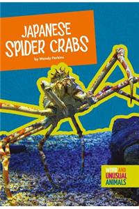 Japanese Spider Crabs
