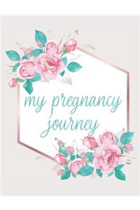 Pregnancy Planner