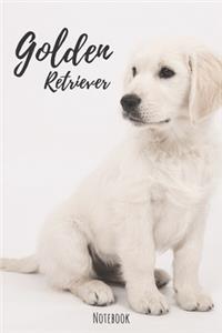 Golden Retriever Notebook