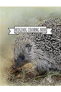 Hedgehog Coloring Book