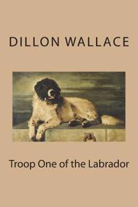 Troop One of the Labrador