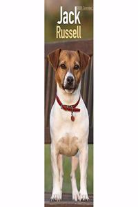 Jack Russell Slim Calendar 2020