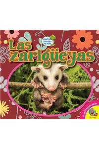 Zarigüeyas