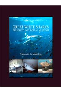 Great White Sharks Preserved in European Museums