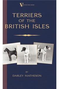 Terriers - An Illustrated Guide (a Vintage Dog Books Breed Classic)