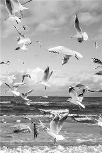 Summer Holidays