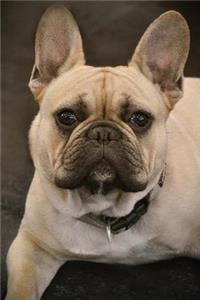 My French Bulldog Notebook