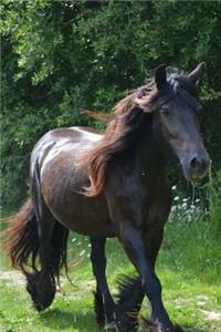 Awesome Brown Horse in the Pasture on a Windy Day Journal