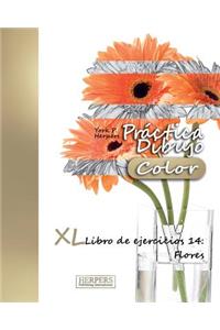 Práctica Dibujo [Color] - XL Libro de ejercicios 14