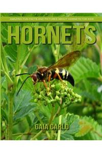Hornets