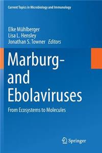 Marburg- and Ebolaviruses