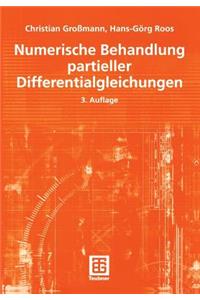 Numerische Behandlung Partieller Differentialgleichungen
