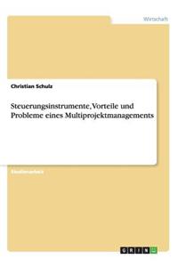 Steuerungsinstrumente, Vorteile und Probleme eines Multiprojektmanagements