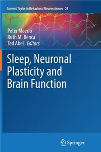 Sleep, Neuronal Plasticity and Brain Function