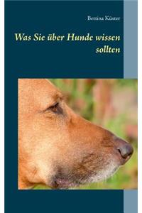 Was Sie über Hunde wissen sollten