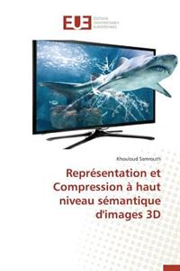 Représentation Et Compression À Haut Niveau Sémantique d'Images 3D