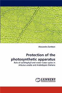 Protection of the photosynthetic apparatus