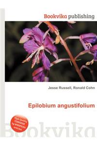 Epilobium Angustifolium