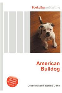 American Bulldog