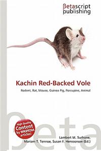 Kachin Red-Backed Vole