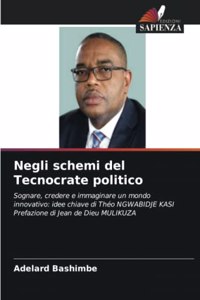 Negli schemi del Tecnocrate politico