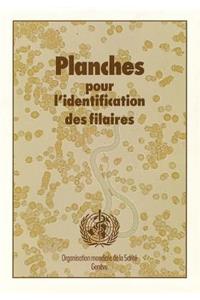 Planches Pour l'Identification Des Filaires