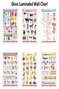Childrenâ€™s Gloss Laminated Wall Charts :- Alphabet, Fruits, Animals, Body Parts, Numbers and Shapes & Colours - Learning Posters for Kids, 