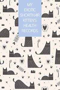 My Exotic Shorthair Kitten's Health Records