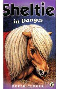 Sheltie in Danger
