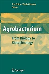 Agrobacterium: From Biology to Biotechnology