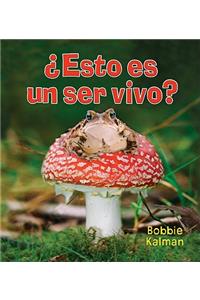 ¿Esto Es Un Ser Vivo? (Is It a Living Thing?)