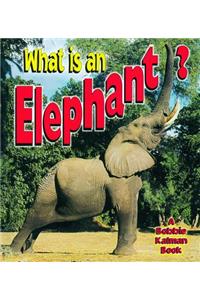 What is an Elephant?
