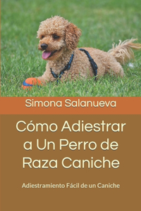 Cómo Adiestrar a Un Perro de Raza Caniche