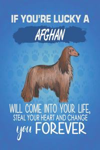 If You're Lucky a Afghan Will Come Into Your Life