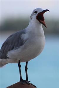 Squawking Seagull Journal