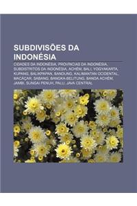 Subdivisoes Da Indonesia