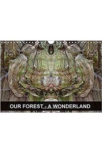 Our Forest - A Wonderland 2018