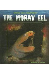 The Moray Eel