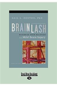 Brainlash: Maximize Your Recovery from Mild Brain Injury (Easyread Large Edition)