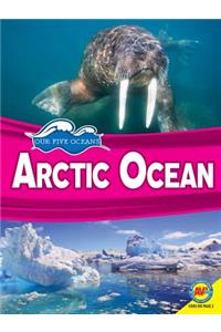 Arctic Ocean